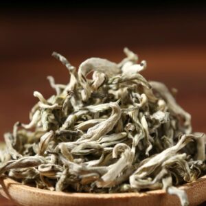 Early Spring "Snow Buds" White Tea of Yunnan