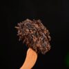 2024 Yunnan Sourcing "Peerless" Ripe Pu-erh Tea Cake