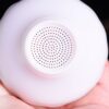 Mutton Fat Jade Porcelain "Bai Ci" Strainer