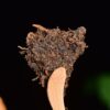2024 Yunnan Sourcing "Impression" Ripe Pu-erh Tea Cake