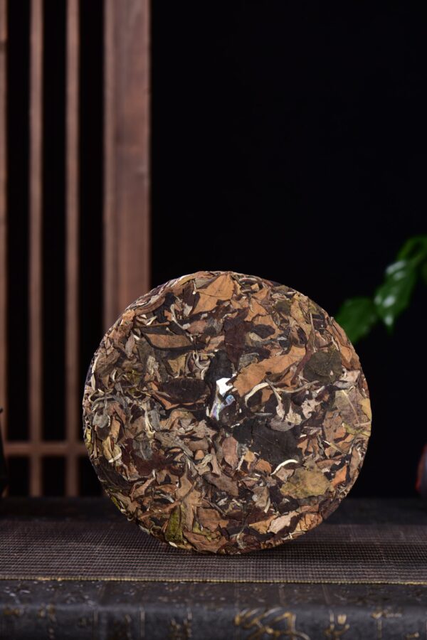 2024 Yunnan Sourcing "Meng Song Village" White Tea Cake