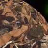 2024 Yunnan Sourcing "Meng Song Village" White Tea Cake