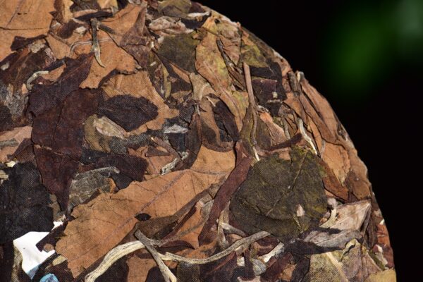 2024 Yunnan Sourcing "Meng Song Village" White Tea Cake