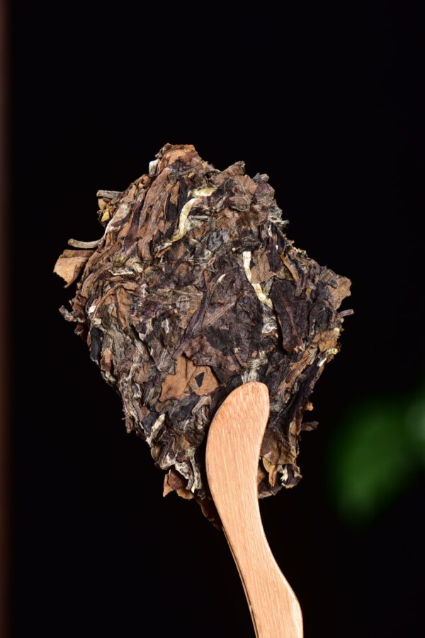 2024 Yunnan Sourcing "Meng Song Village" White Tea Cake