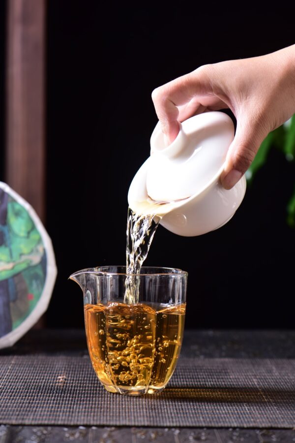 2024 Yunnan Sourcing "Meng Song Village" White Tea Cake