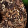 2024 Yunnan Sourcing "Jiu Tai Po Bai Cha" Old Arbor White Tea Cake