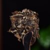 2024 Yunnan Sourcing "Jiu Tai Po Bai Cha" Old Arbor White Tea Cake