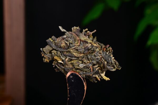 2024 Yunnan Sourcing "Na Han Village" Old Arbor Raw Pu-erh Tea Cake