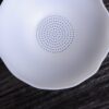 Mutton Fat Jade Porcelain "Bai Ci" Strainer