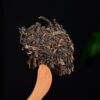 2024 Yunnan Sourcing "Naka Beauty" Old Arbor Raw Pu-erh Tea Cake