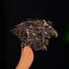 2024 Yunnan Sourcing "Xi Niu Tang Pasha" Raw Pu-erh Tea Cake