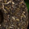 2024 Yunnan Sourcing "Huang Shan Gu Shu" Old Arbor Raw Pu-erh Tea Cake